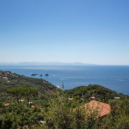 Geca'S House - Panoramic Sea View Studio Massa Lubrense Kültér fotó
