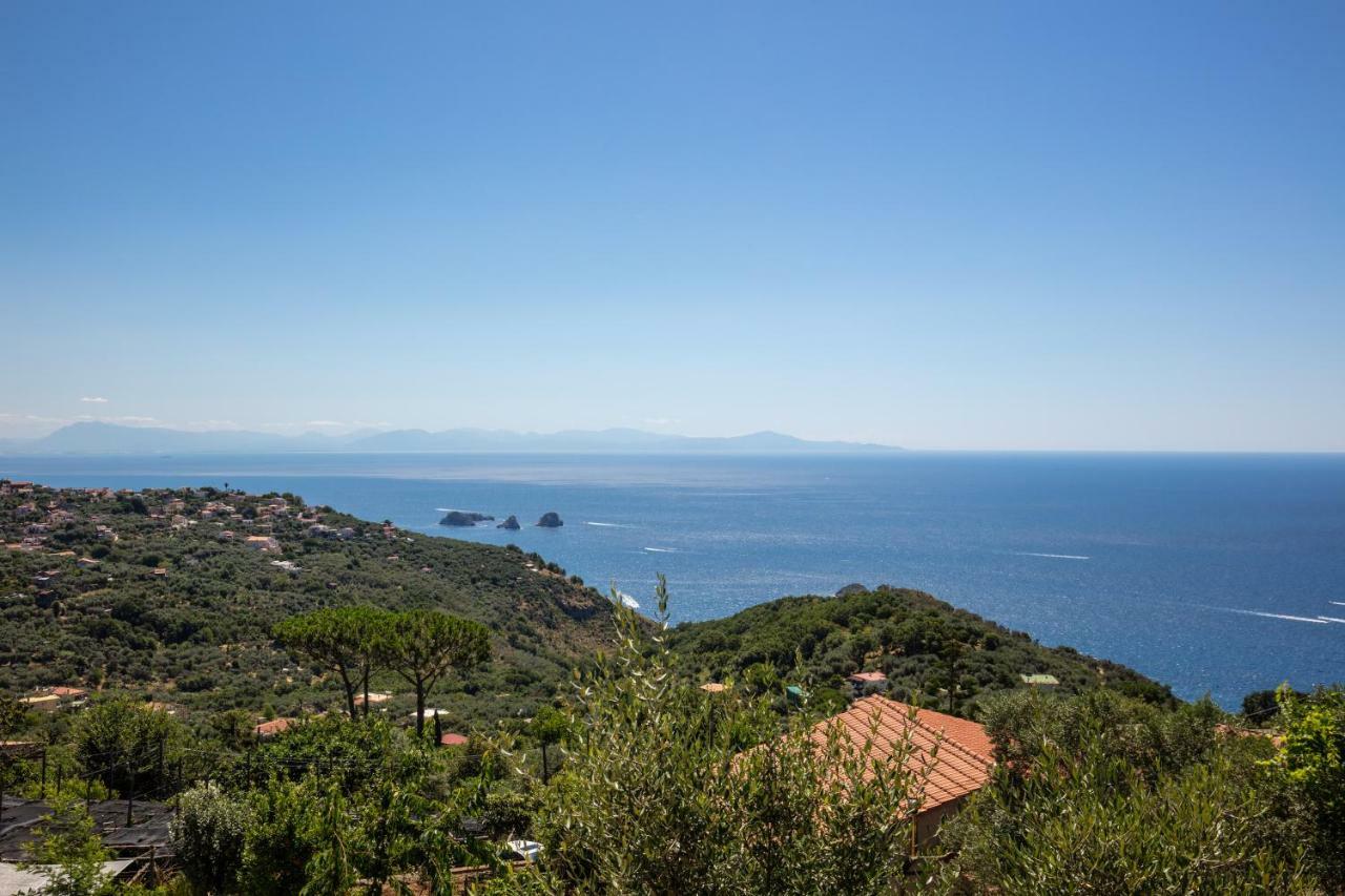Geca'S House - Panoramic Sea View Studio Massa Lubrense Kültér fotó